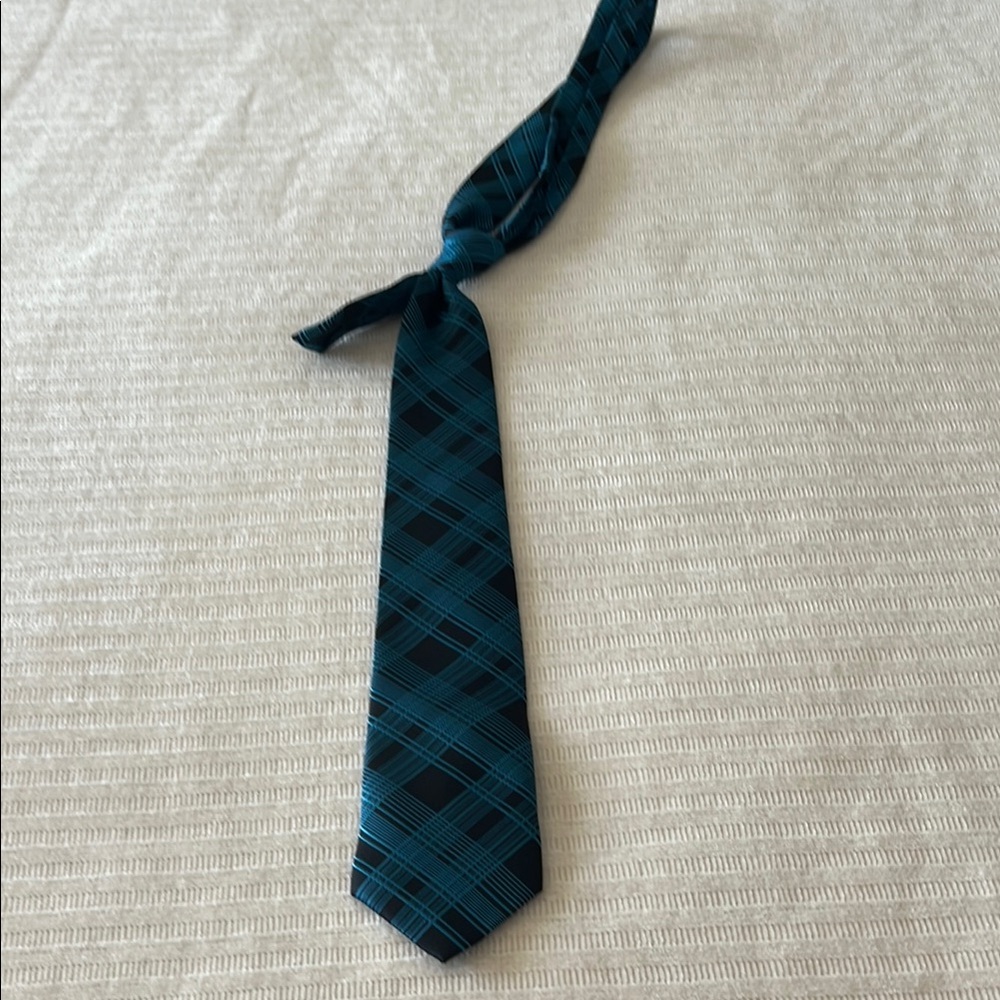Men's Blue Plaid Tie